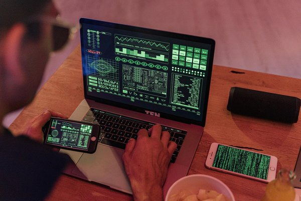 Ultimate guide to calming your cat"s travel stress: proven techniques for a peaceful journey