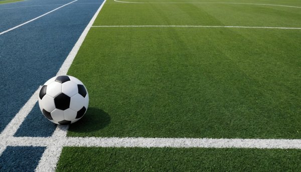 Uncover the best pick-up soccer locations in los angeles